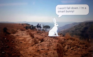 Smart Bunny